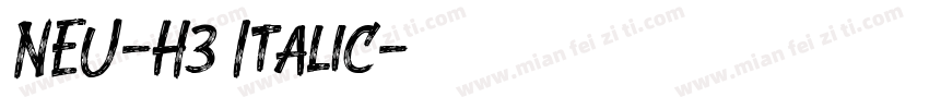 NEU-H3 Italic字体转换